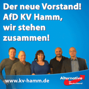 hamm-vorstand-web2