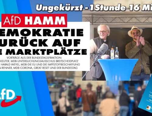 Demokratie zurück auf die Marktplätze | AfD